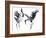 Cavorting Cranes-Kristine Hegre-Framed Giclee Print