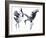 Cavorting Cranes-Kristine Hegre-Framed Giclee Print