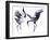 Cavorting Cranes-Kristine Hegre-Framed Giclee Print