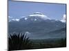 Cayambe, Ecuador-Charles Sleicher-Mounted Photographic Print