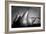 Cayendo-Moises Levy-Framed Photographic Print