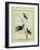 Cayenne Hummingbirds-Georges-Louis Buffon-Framed Giclee Print