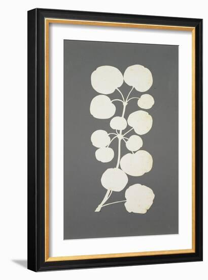 Cayenne Pepper-Philipp Otto Runge-Framed Giclee Print