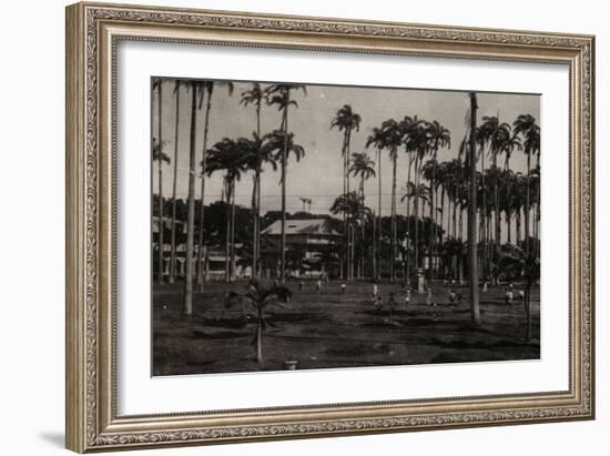 Cayenne. Place des Palmistes-null-Framed Giclee Print