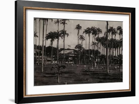 Cayenne. Place des Palmistes-null-Framed Giclee Print