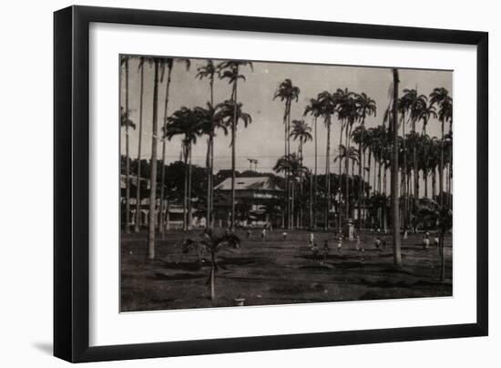 Cayenne. Place des Palmistes-null-Framed Giclee Print