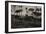 Cayenne. Place des Palmistes-null-Framed Giclee Print