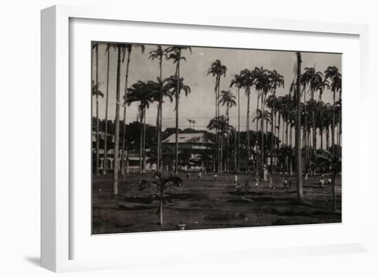 Cayenne. Place des Palmistes-null-Framed Giclee Print