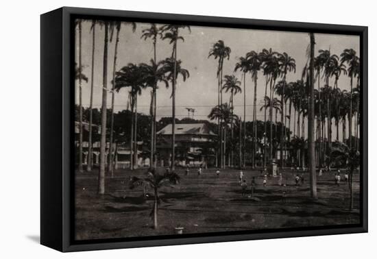 Cayenne. Place des Palmistes-null-Framed Premier Image Canvas