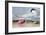 Cayenne Tern-John James Audubon-Framed Giclee Print