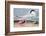 Cayenne Tern-John James Audubon-Framed Giclee Print