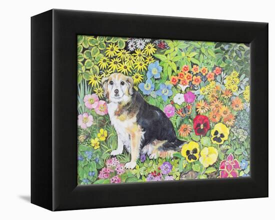 Caylie in the Border-Hilary Jones-Framed Premier Image Canvas