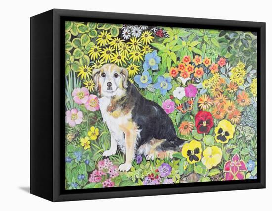 Caylie in the Border-Hilary Jones-Framed Premier Image Canvas