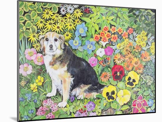 Caylie in the Border-Hilary Jones-Mounted Giclee Print