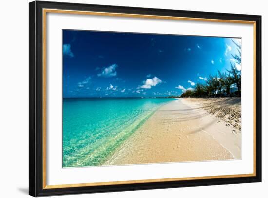 Cayman Islands Beach-Bill Carson Photography-Framed Photo