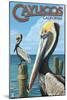 Cayucos, California - Pelicans-Lantern Press-Mounted Art Print