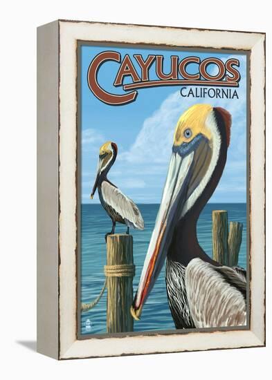 Cayucos, California - Pelicans-Lantern Press-Framed Stretched Canvas