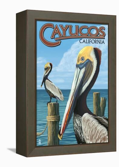 Cayucos, California - Pelicans-Lantern Press-Framed Stretched Canvas