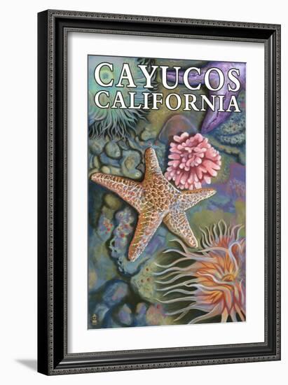 Cayucos, California - Tidepool-Lantern Press-Framed Art Print