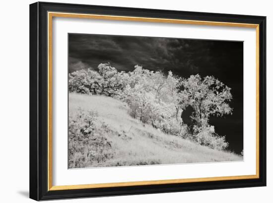 Cayucos III-Lee Peterson-Framed Photographic Print