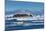 Cayucos Waves I-Lee Peterson-Mounted Photo