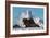 Cayucos Waves II-Lee Peterson-Framed Photo