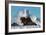 Cayucos Waves II-Lee Peterson-Framed Photo