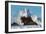 Cayucos Waves II-Lee Peterson-Framed Photo