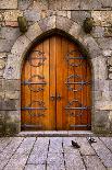 Beautiful Old Wooden Door with Iron Ornaments in a Medieval Castle-ccaetano-Photographic Print