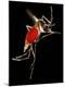 Premium Photographic Print