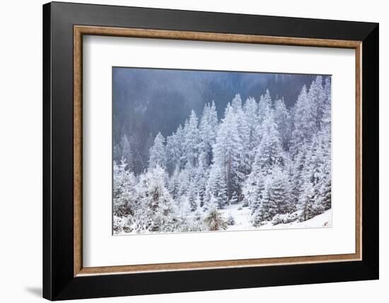 Ceahlau Massif in winter, Eastern Carpathians, Neamt County, Moldavia, Romania, Europe-Nagy Melinda-Framed Photographic Print