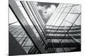 Premium Photographic Print