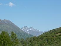 Alaska's Mountains and Forests-cec72-Photographic Print