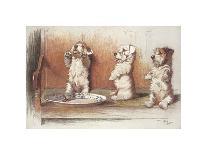 Collie Dog Relaxes-Cecil Aldin-Photographic Print