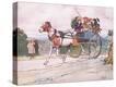 Stretched Canvas Print