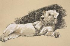 Terrier Detail, 1930, Just Among Friends, Aldin, Cecil Charles Windsor-Cecil Aldin-Giclee Print