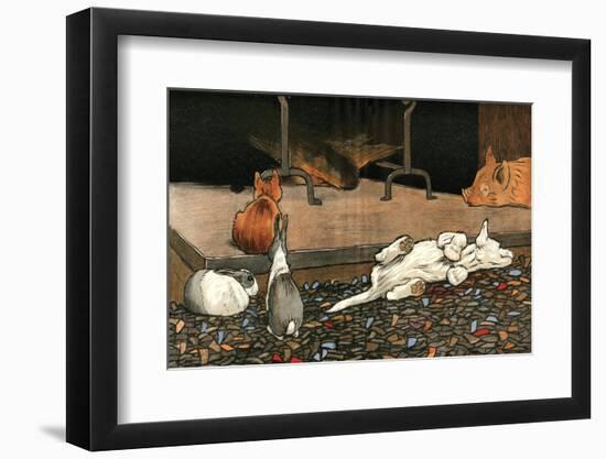 Photographic Print, , large