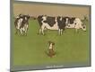 Premium Photographic Print