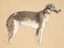 A Fawn Greyhound, 1897-Cecil Charles Windsor Aldin-Mounted Giclee Print
