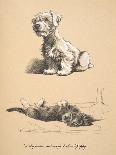 Wolfhound and Bull Terrier Asleep on a Sofa-Cecil Charles Windsor Aldin-Giclee Print