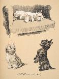 A Fawn Greyhound, 1897-Cecil Charles Windsor Aldin-Giclee Print