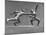 Cecil Howard's Sculpture of Two Men Fencing-Andreas Feininger-Mounted Premium Photographic Print