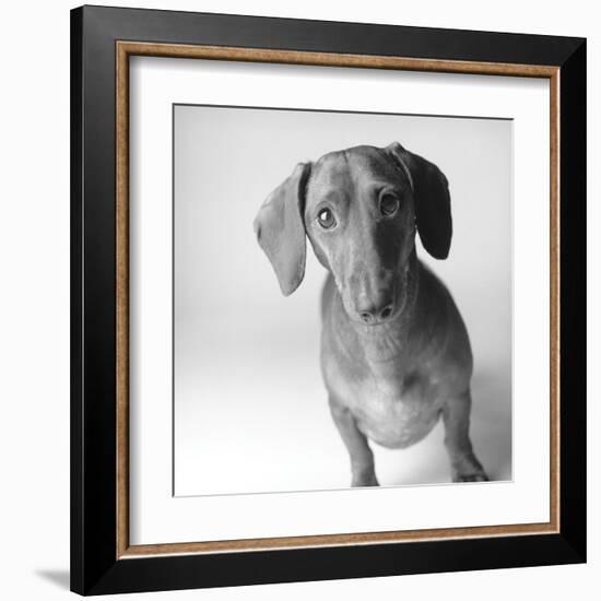 Cecil-Amanda Jones-Framed Art Print