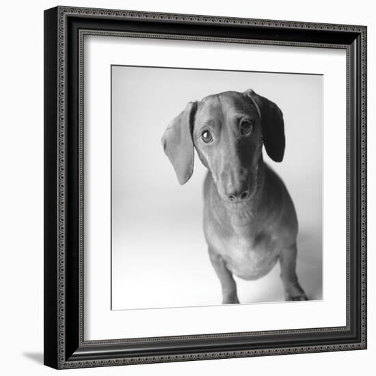 Cecil-Amanda Jones-Framed Art Print