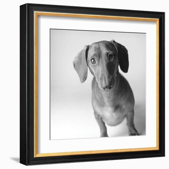 Cecil-Amanda Jones-Framed Art Print