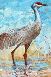 Sandhill Cranes II-Cecile Broz-Giclee Print