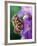 Cecropia Moth on Iris in Garden-Nancy Rotenberg-Framed Photographic Print