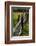 Cedar Fence-John Gusky-Framed Photographic Print