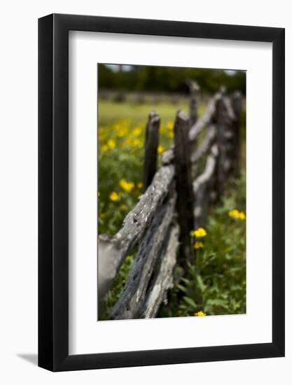 Cedar Fence-John Gusky-Framed Photographic Print
