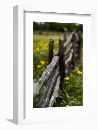 Cedar Fence-John Gusky-Framed Photographic Print